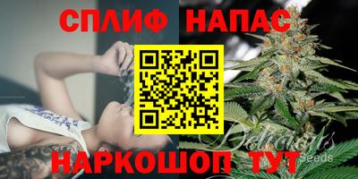 стафф Кимры