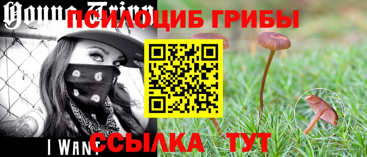 Галлюциногенные грибы ЛСД Костомукша