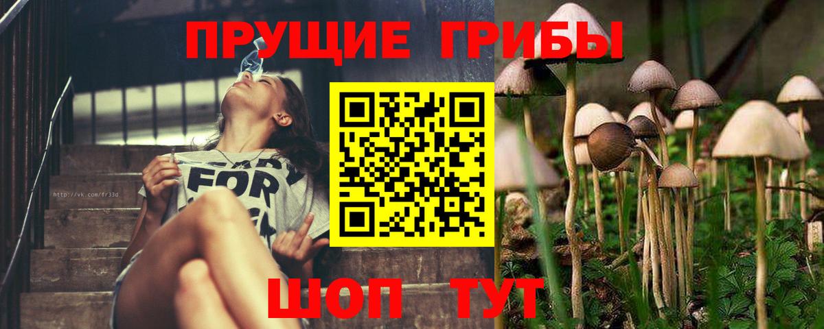 Костомукша  Псилоцибиновые грибы Magic Shrooms  Вход с VPN  Галлюциногенные грибы Psilocybe 